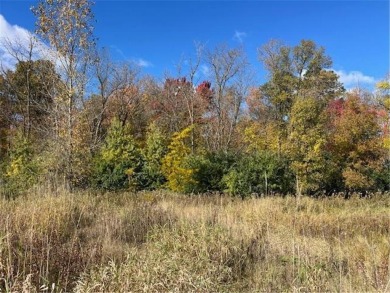 With a wooded backdrop this beautiful lot has great potential on The Amery Golf Club in Wisconsin - for sale on GolfHomes.com, golf home, golf lot