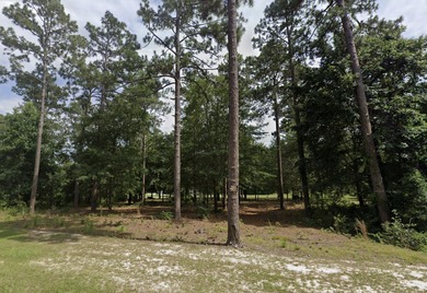 One of the last remaining homesites available in Horse Creek on Midland Valley Country Club in South Carolina - for sale on GolfHomes.com, golf home, golf lot