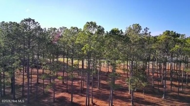 Opportunity knocks! Prime Golf course homesite with pond views on Ocean Ridge Plantation in North Carolina - for sale on GolfHomes.com, golf home, golf lot