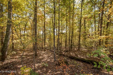 THIS IS MORE THAN JUST LAND, IT'S THE FOUNDATION FOR YOUR DREAM on Beverly Park Par 3 in Tennessee - for sale on GolfHomes.com, golf home, golf lot