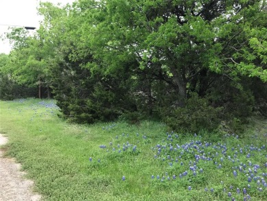 0.2823 AC interior lot located across one of the catch and on White Bluff Resort - New Course in Texas - for sale on GolfHomes.com, golf home, golf lot