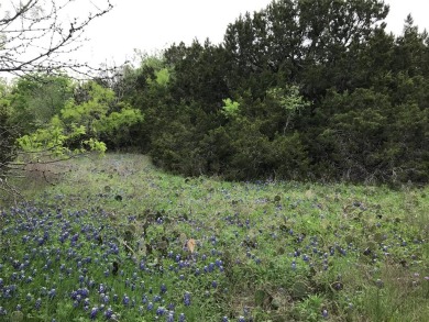 0.2823 AC interior lot located across one of the catch and on White Bluff Resort - New Course in Texas - for sale on GolfHomes.com, golf home, golf lot