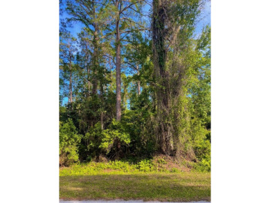 Nestled down Pinewood Avenue in charming Carrabelle, Florida on St. James Bay in Florida - for sale on GolfHomes.com, golf home, golf lot