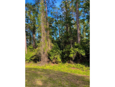Nestled down Pinewood Avenue in charming Carrabelle, Florida on St. James Bay in Florida - for sale on GolfHomes.com, golf home, golf lot