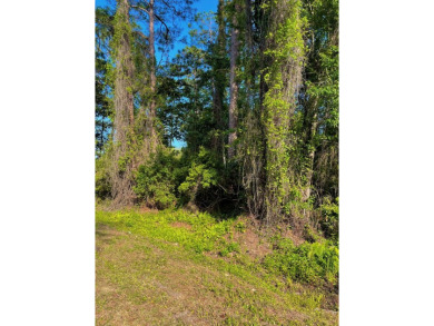 Nestled down Pinewood Avenue in charming Carrabelle, Florida on St. James Bay in Florida - for sale on GolfHomes.com, golf home, golf lot