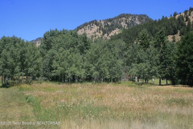 Amazing lot on hole #17 of Cedar Creek Golf Course.  Trees at on Star Valley RV Golf Course in Wyoming - for sale on GolfHomes.com, golf home, golf lot