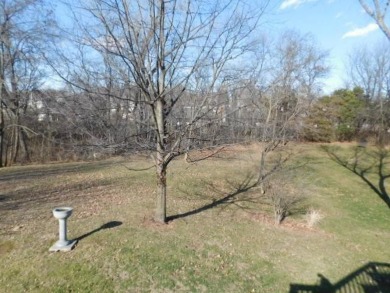 Location, Location! just minutes from 2 golf courses and on Hidden Pines Country Club in Missouri - for sale on GolfHomes.com, golf home, golf lot