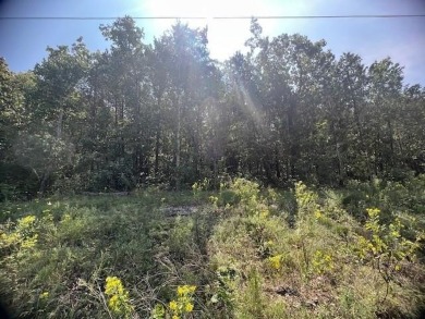 Beautiful treed lot with a gentle upslope comprising 0.81 acres on Holiday Island Executive Golf Course in Arkansas - for sale on GolfHomes.com, golf home, golf lot