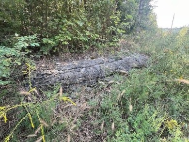 Beautiful treed lot with a gentle upslope comprising 0.81 acres on Holiday Island Executive Golf Course in Arkansas - for sale on GolfHomes.com, golf home, golf lot