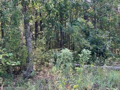 Beautiful treed lot with a gentle upslope comprising 0.81 acres on Holiday Island Executive Golf Course in Arkansas - for sale on GolfHomes.com, golf home, golf lot