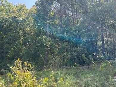 Beautiful treed lot with a gentle upslope comprising 0.81 acres on Holiday Island Executive Golf Course in Arkansas - for sale on GolfHomes.com, golf home, golf lot