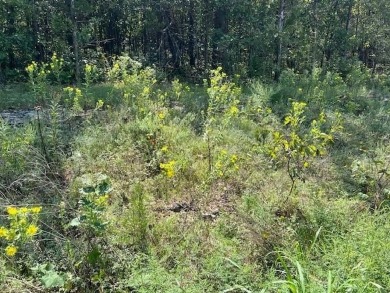 Beautiful treed lot with a gentle upslope comprising 0.81 acres on Holiday Island Executive Golf Course in Arkansas - for sale on GolfHomes.com, golf home, golf lot