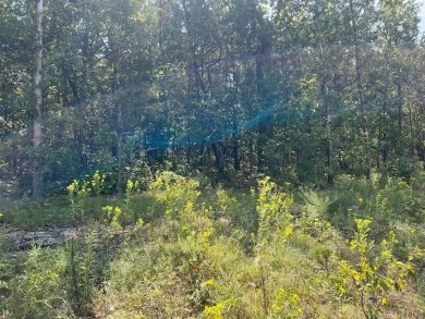 Beautiful treed lot with a gentle upslope comprising 0.81 acres on Holiday Island Executive Golf Course in Arkansas - for sale on GolfHomes.com, golf home, golf lot