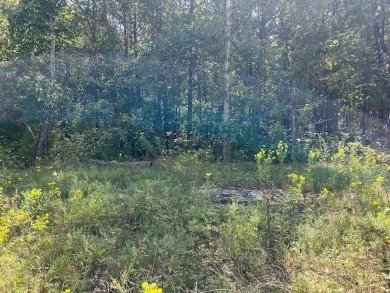 Beautiful treed lot with a gentle upslope comprising 0.81 acres on Holiday Island Executive Golf Course in Arkansas - for sale on GolfHomes.com, golf home, golf lot