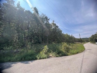 Beautiful treed lot with a gentle upslope comprising 0.81 acres on Holiday Island Executive Golf Course in Arkansas - for sale on GolfHomes.com, golf home, golf lot