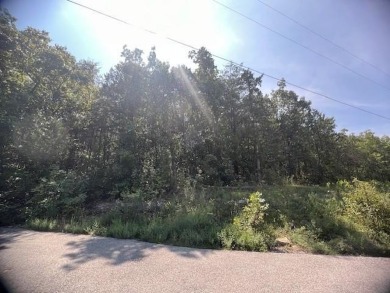 Beautiful treed lot with a gentle upslope comprising 0.81 acres on Holiday Island Executive Golf Course in Arkansas - for sale on GolfHomes.com, golf home, golf lot