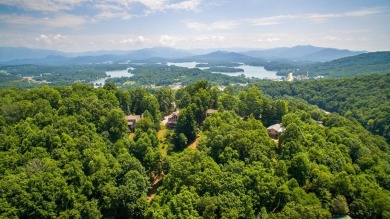 Experience serene living with panoramic mountain and golf course on Brasstown Valley Resort and Spa in Georgia - for sale on GolfHomes.com, golf home, golf lot