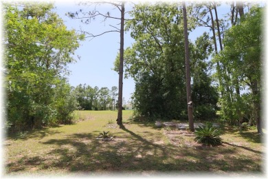 SE - DIRECTLY ON THE GOLF COURSE - WITH LOTS OF SMART HOME on Lake Diamond Golf and Country Club in Florida - for sale on GolfHomes.com, golf home, golf lot