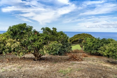 Located on the Kona Coast of Hawaii Island, Hokuli'a is a on Club At Hokulia in Hawaii - for sale on GolfHomes.com, golf home, golf lot