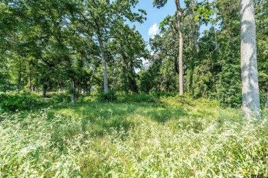 Resort style living at its finest! This double estate lot is the on Eagles Bluff Golf Course in Texas - for sale on GolfHomes.com, golf home, golf lot