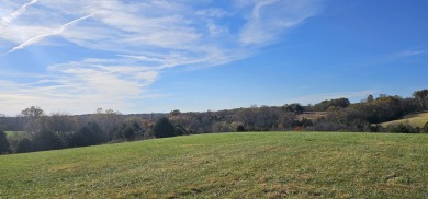 20.22 acres in the NIXA school district.. What a beautiful on Hidden Valley Golf Links in Missouri - for sale on GolfHomes.com, golf home, golf lot