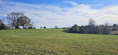 20.22 acres in the NIXA school district.. What a beautiful on Hidden Valley Golf Links in Missouri - for sale on GolfHomes.com, golf home, golf lot