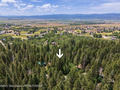 Tree Lined Lot on Vista Drive, Star Valley Ranch.
Tucked among on Star Valley RV Golf Course in Wyoming - for sale on GolfHomes.com, golf home, golf lot