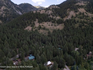 Tree Lined Lot on Vista Drive, Star Valley Ranch.
Tucked among on Star Valley RV Golf Course in Wyoming - for sale on GolfHomes.com, golf home, golf lot