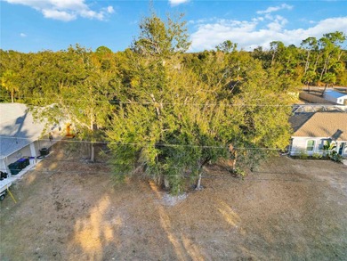 Rare opportunity to own a mostly cleared, ready-to-build lot in on Bobcat Trail Golf Club in Florida - for sale on GolfHomes.com, golf home, golf lot