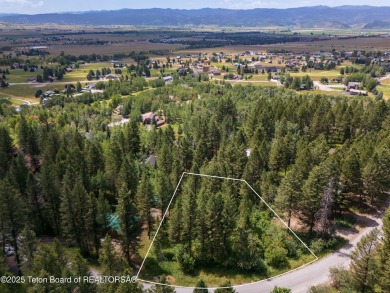 Tree Lined Lot on Vista Drive, Star Valley Ranch.
Tucked among on Star Valley RV Golf Course in Wyoming - for sale on GolfHomes.com, golf home, golf lot
