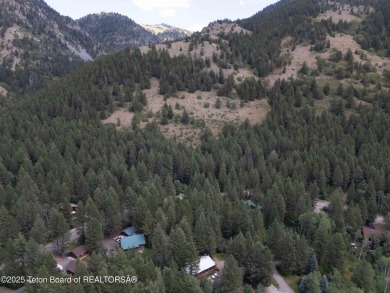 Tree Lined Lot on Vista Drive, Star Valley Ranch.
Tucked among on Star Valley RV Golf Course in Wyoming - for sale on GolfHomes.com, golf home, golf lot