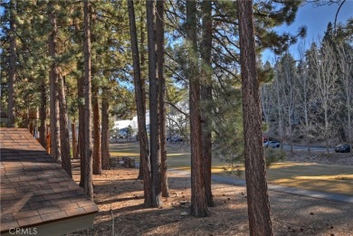 SITUATED AT THE BASE OF BEAR MOUNTAIN SKI RESORT AND OVERLOOKING on Big Bear Mountain Ski and Golf Resort in California - for sale on GolfHomes.com, golf home, golf lot
