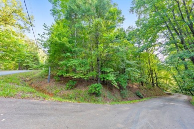 You have arrived! Breathtaking mountain surroundings and on White Path Golf Club in Georgia - for sale on GolfHomes.com, golf home, golf lot