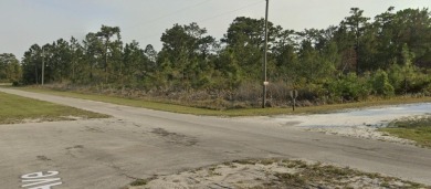 Come build your forever home on this one-half acre lot that on Indian Lake Estates Golf and Country Club in Florida - for sale on GolfHomes.com, golf home, golf lot
