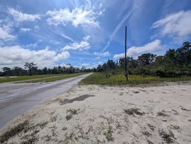 Come build your forever home on this one-half acre lot that on Indian Lake Estates Golf and Country Club in Florida - for sale on GolfHomes.com, golf home, golf lot