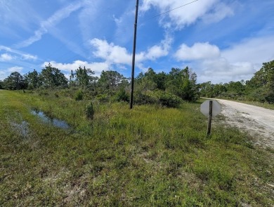 Come build your forever home on this one-half acre lot that on Indian Lake Estates Golf and Country Club in Florida - for sale on GolfHomes.com, golf home, golf lot