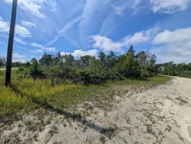 Come build your forever home on this one-half acre lot that on Indian Lake Estates Golf and Country Club in Florida - for sale on GolfHomes.com, golf home, golf lot