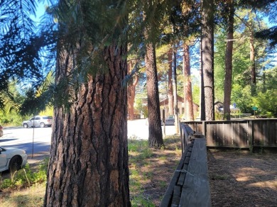 Exceptional opportunity to own a large, level parcel just two on Old Brockway Golf Club in California - for sale on GolfHomes.com, golf home, golf lot