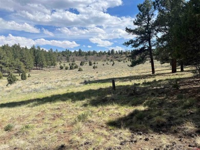 Donna M Whiskeman, RE/MAX Cimarron Realty, Cell: , donna,  : A on The Divide Ranch and Club in Colorado - for sale on GolfHomes.com, golf home, golf lot