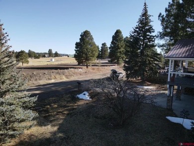Michael D Knapp, Best of Pagosa Springs, C: , mike,  : Prime on Pagosa Springs Golf Club in Colorado - for sale on GolfHomes.com, golf home, golf lot
