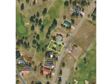 Michael D Knapp, Best of Pagosa Springs, C: , mike,  : Prime on Pagosa Springs Golf Club in Colorado - for sale on GolfHomes.com, golf home, golf lot