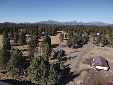 Michael D Knapp, Best of Pagosa Springs, C: , mike,  : Prime on Pagosa Springs Golf Club in Colorado - for sale on GolfHomes.com, golf home, golf lot