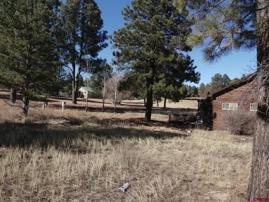 Michael D Knapp, Best of Pagosa Springs, C: , mike,  : Prime on Pagosa Springs Golf Club in Colorado - for sale on GolfHomes.com, golf home, golf lot