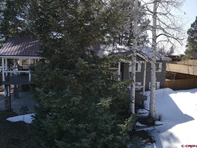 Michael D Knapp, Best of Pagosa Springs, C: , mike,  : Prime on Pagosa Springs Golf Club in Colorado - for sale on GolfHomes.com, golf home, golf lot