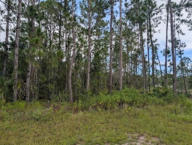 Come build your forever home on this one-half acre CANAL lot on Indian Lake Estates Golf and Country Club in Florida - for sale on GolfHomes.com, golf home, golf lot