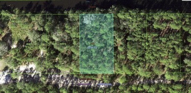 Come build your forever home on this one-half acre CANAL lot on Indian Lake Estates Golf and Country Club in Florida - for sale on GolfHomes.com, golf home, golf lot