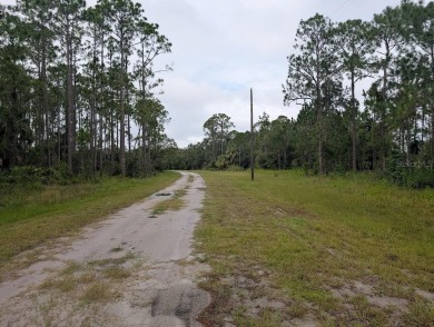 Come build your forever home on this one-half acre CANAL lot on Indian Lake Estates Golf and Country Club in Florida - for sale on GolfHomes.com, golf home, golf lot