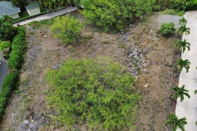 Discover one of the best values in Waikoloa Village-this on Waikoloa Village Golf Club in Hawaii - for sale on GolfHomes.com, golf home, golf lot
