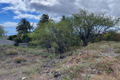 Discover one of the best values in Waikoloa Village-this on Waikoloa Village Golf Club in Hawaii - for sale on GolfHomes.com, golf home, golf lot
