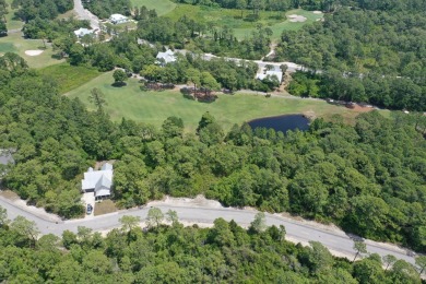 Welcome to the last bit of Florida paradise! 145 White Pelican on St. James Bay in Florida - for sale on GolfHomes.com, golf home, golf lot